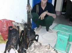 Thông báo Về việc tìm người vi phạm, chủ sở hữu, người quản lý, người sử dụng hợp pháp của tang vật vi phạm hành chính