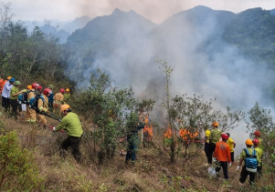 BQL VQG Phong Nha – Kẻ Bàng tiếp tục triển khai quyết liệt công tác phòng cháy, chữa cháy rừng