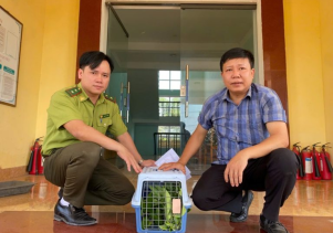 Tiếp nhận động vật hoang dã nguy cấp, quý, hiếm để cứu hộ