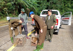 Vườn quốc gia Phong Nha – Kẻ Bàng thả 19 cá thể động vật hoang dã về môi trường tự nhiên