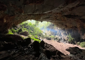 Khám phá Bách xanh đá – Hang Kling