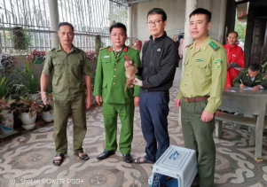 Vườn quốc gia Phong Nha – Kẻ Bàng cứu hộ hai cá thể khỉ quý hiếm