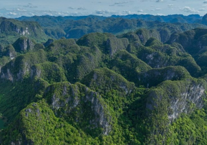 Kỷ niệm 66 năm Ngày Lâm nghiệp Việt Nam (28/11/1959 – 28/11/2025)