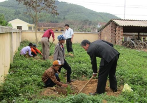 VQG Phong Nha – Kẻ Bàng: Trồng cây xanh khuôn viên trường học thuộc các xã vùng đệm