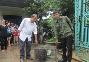 Tiếp nhận động vật hoang dã quý hiếm để cứu hộ