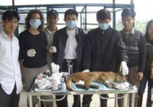 Bảo tồn động, thực vật ở Phong Nha