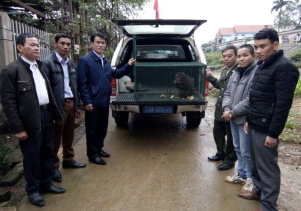 Người dân tự nguyện chuyển giao động vật hoang dã quý hiếm để cứu hộ