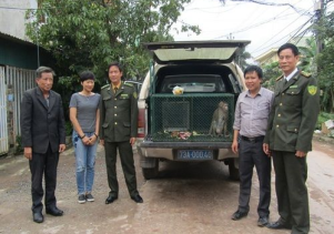Người dân tự nguyện chuyển giao động vật hoang dã quý hiếm để cứu hộ