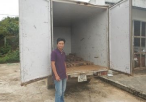 Phong Nha – Kẻ Bàng: Bắt giữ và xử lý xe ô tô vận chuyển trái phép gỗ Hương Giáng với số lượng lớn