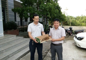 Trung tâm Cứu hộ, Bảo tồn và Phát triển sinh vật: Tiếp nhận động vật hoang dã quý hiếm để cứu hộ