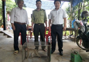 Người dân tự nguyện chuyển giao động vật hoang dã quý hiếm để cứu hộ