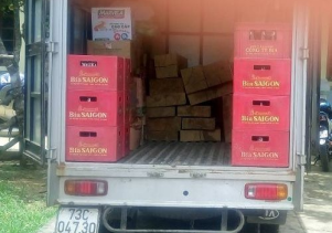 Hạt Kiểm lâm Vườn Quốc gia Phong Nha – Kẻ Bàng bắt giữ và xử lý vi phạm xe ô tô chở gỗ lậu tại Thượng Hóa