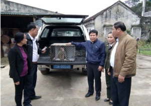 Tiếp nhận động vật hoang dã quý hiếm để cứu hộ