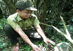 Thả động vật hoang dã về môi trường tự nhiên