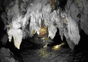 Một số đặc điểm hang động chưa công bố tại khu vực Phong Nha – Kẻ Bàng