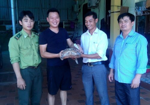 Tiếp nhận động vật hoang dã quý hiếm để cứu hộ