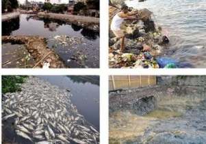 Khủng hoảng môi trường và những hậu quả