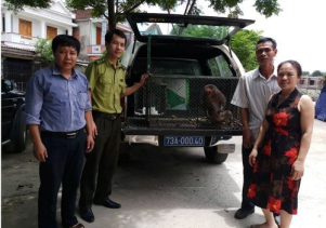 Tiếp nhận động vật hoang dã quý hiếm để cứu hộ