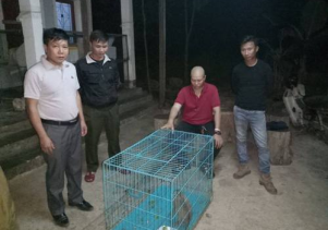 Tiếp nhận động vật hoang dã quý hiếm để cứu hộ