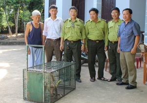 Tiếp nhận động vật hoang dã quý hiếm để cứu hộ