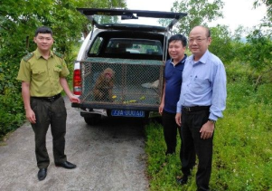 Tiếp nhận động vật hoang dã từ cộng đồng để cứu hộ và thả về môi trường từ nhiên tại Vườn quốc gia Phong Nha – Kẻ Bàng
