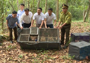 Thả 133 cá thể động vật hoang dã và 38,5 kg Rắn về môi trường tự nhiên tại VQG Phong Nha – Kẻ Bàng