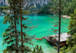 Midway, a plastic island