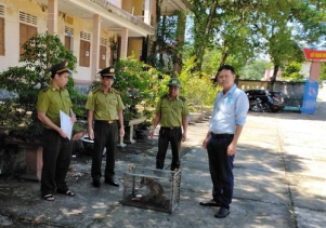Tiếp nhận 01 cá thể Khỉ nguy cấp, quý, hiếm để cứu hộ và thả về môi trường tự nhiên