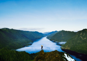 The Idea to “Crowd-source” saving the park?