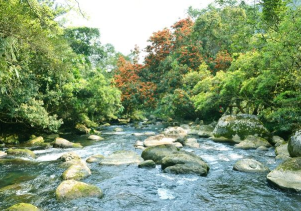 Điểm du lịch sinh thái Suối Nước Moọc