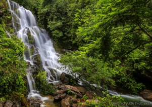 Điểm du lịch sinh thái và diễn giải môi trường Vườn thực vật