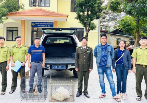 Tiếp nhận động vật hoang dã nguy cấp, quý hiếm để cứu hộ và thả về môi trường tự nhiên