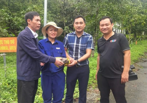 Tiếp nhận 01 cá thể Rùa Sa nhân nguy cấp, quý, hiếm để cứu hộ