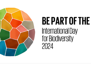 Hưởng ứng ngày Quốc tế Đa dạng sinh học năm 2024