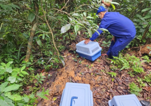 Vườn quốc gia Phong Nha – Kẻ Bàng cứu hộ nhiều động vật nguy cấp, quý, hiếm