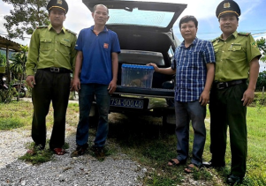 Trung tâm Cứu hộ, bảo tồn và Phát triển sinh vật phối hợp với Hạt kiểm lâm huyện Tuyên Hóa và huyện Bố Trạch tiếp nhận động vật do người dân tự nguyện giao nộp