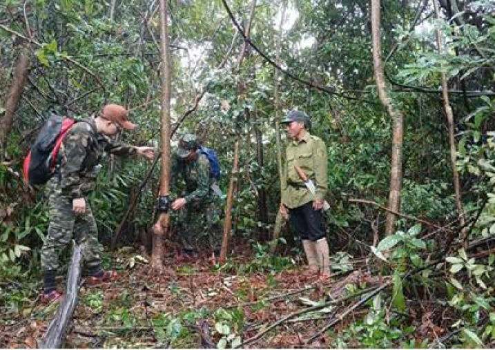 Nâng cao hiệu quả giám sát đa dạng sinh học và bảo vệ rừng tại Vườn quốc gia Phong Nha – Kẻ Bàng thông qua ứng dụng công nghệ Bẫy ảnh và phần mềm Wildlife Insights