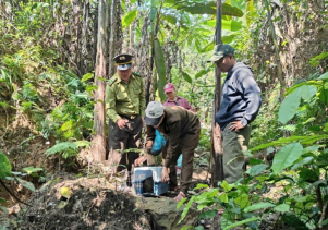 Thả 11 cá thể động vậ hoang dã về môi trường tự nhiên tại Vườn quốc gia Phong Nha - Kẻ Bàng
