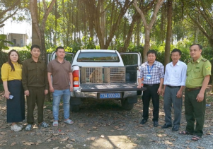 Vườn quốc gia Phong Nha - Kẻ Bàng tiếp nhận động vật hoang dã nguy cấp, quý, hiếm để cứu hộ