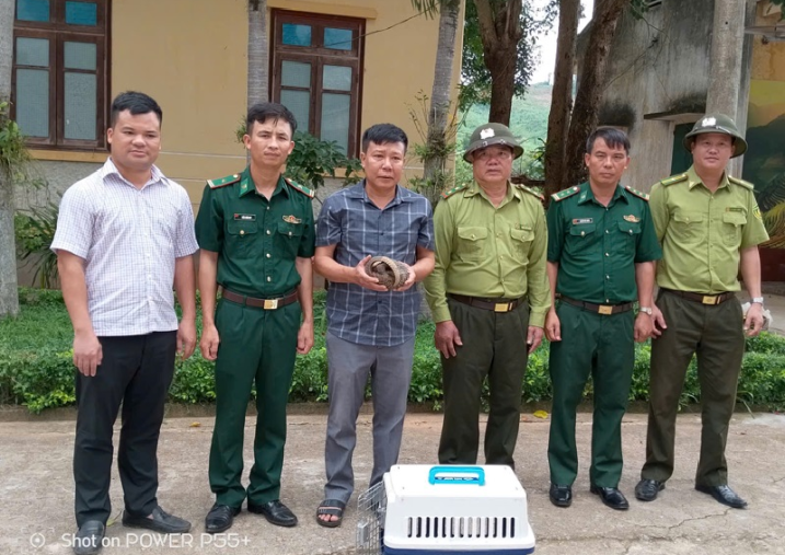 Tiếp nhận động vật hoang dã nguy cấp, quý, hiếm được ưu tiên bảo vệ  để cứu hộ