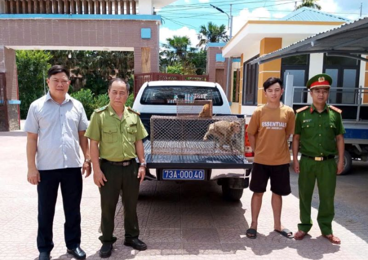 Phong Nha - Kẻ Bàng tiếp nhận nhiều cá thể động vật hoang dã nguy cấp, quý, hiếm để cứu hộ