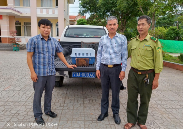 Tiếp nhận Cu li nhỏ do UBND xã Tuyên Bình bàn giao để cứu hộ