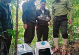 Vườn quốc gia Phong Nha - Kẻ Bàng tái thả 13 cá thể động vật hoang dã về môi trường tự nhiên