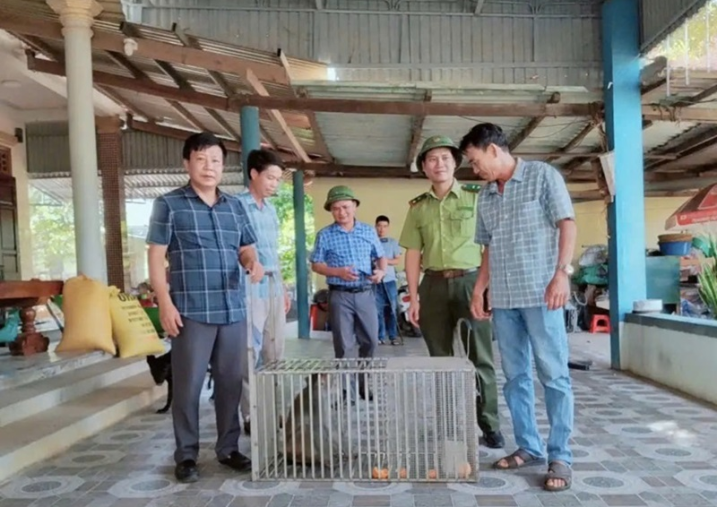 Tiếp nhận Khỉ vàng do UBND xã Quảng Trạch bàn giao để cứu hộ