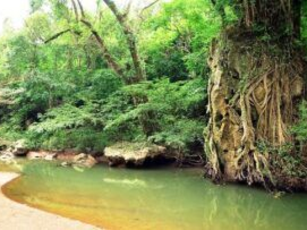 Thung lũng Sinh Tồn – Hang Thủy Cung