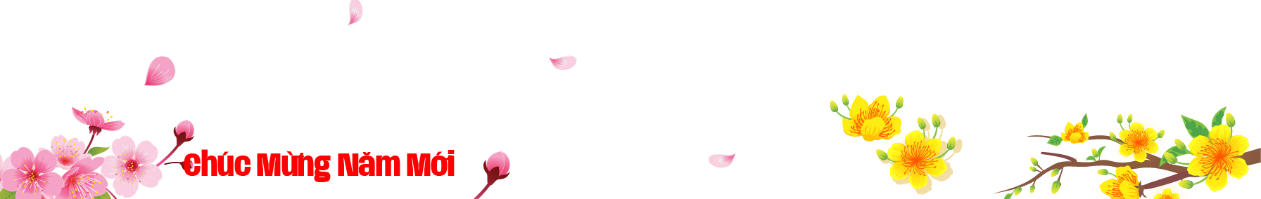 Chúc mừng năm mới