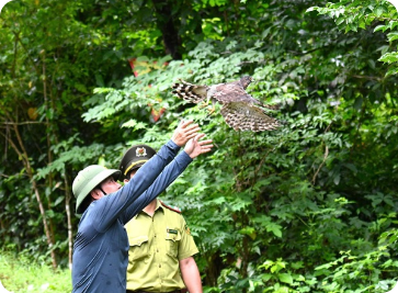 Thả động vật hoang dã về với môi trường tự nhiên tại Vườn quốc gia Phong Nha – Kẻ Bàng